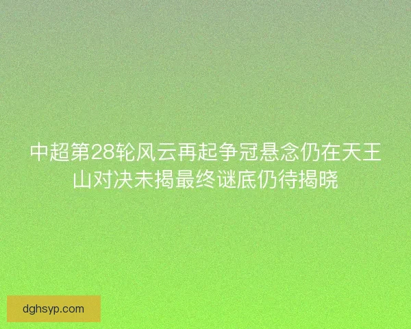 中超第28轮风云再起争冠悬念仍在天王山对决未揭最终谜底仍待揭晓 中超第28轮风云再起争冠悬念仍在天王山对决未揭最终谜底仍待揭晓