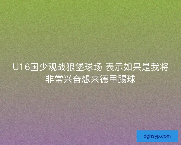 U16国少观战狼堡球场 表示如果是我将非常兴奋想来德甲踢球 U16国少观战狼堡球场 表示如果是我将非常兴奋想来德甲踢球