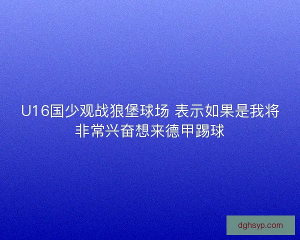 U16国少观战狼堡球场 表示如果是我将非常兴奋想来德甲踢球 U16国少观战狼堡球场 表示如果是我将非常兴奋想来德甲踢球